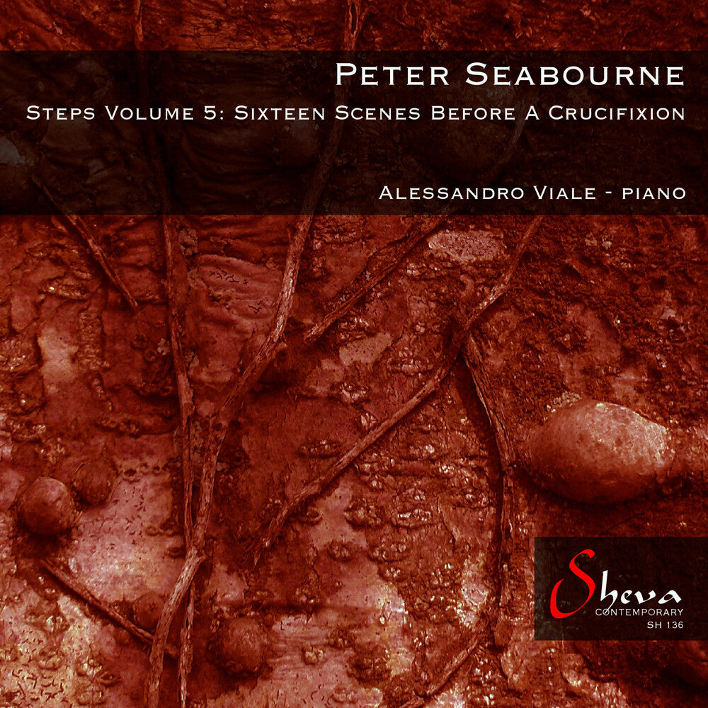 the album cover for Alessandro Viale - Steps Volume 5: Sixteen Scenes Before A Crucifixio