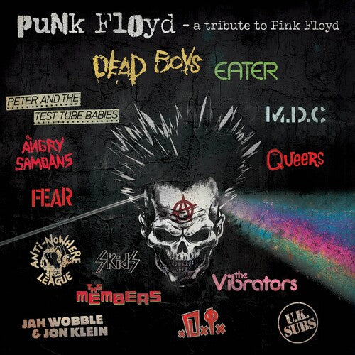 Punk Floyd: A Tribute To Pink Floyd / Various - Punk Floyd: A Tribute To Pink Floyd / Various - Music CD