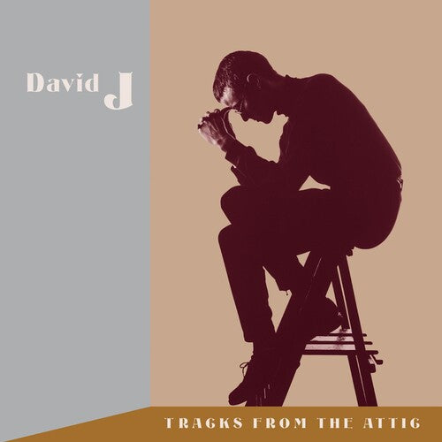 David J - Tracks From The Attic - Vinyl Record