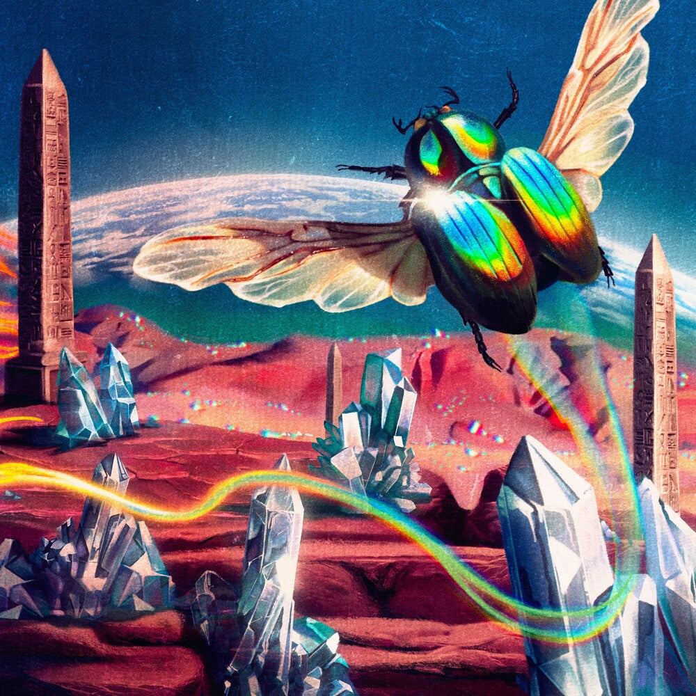 the album cover for Danger Mouse & Jemini - Born Again