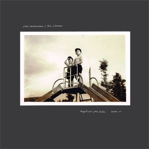 Hatakeyama,chihei / Ishiwaka,shun - Magnificent Little Dudes Vol. 1 - Vinyl Record
