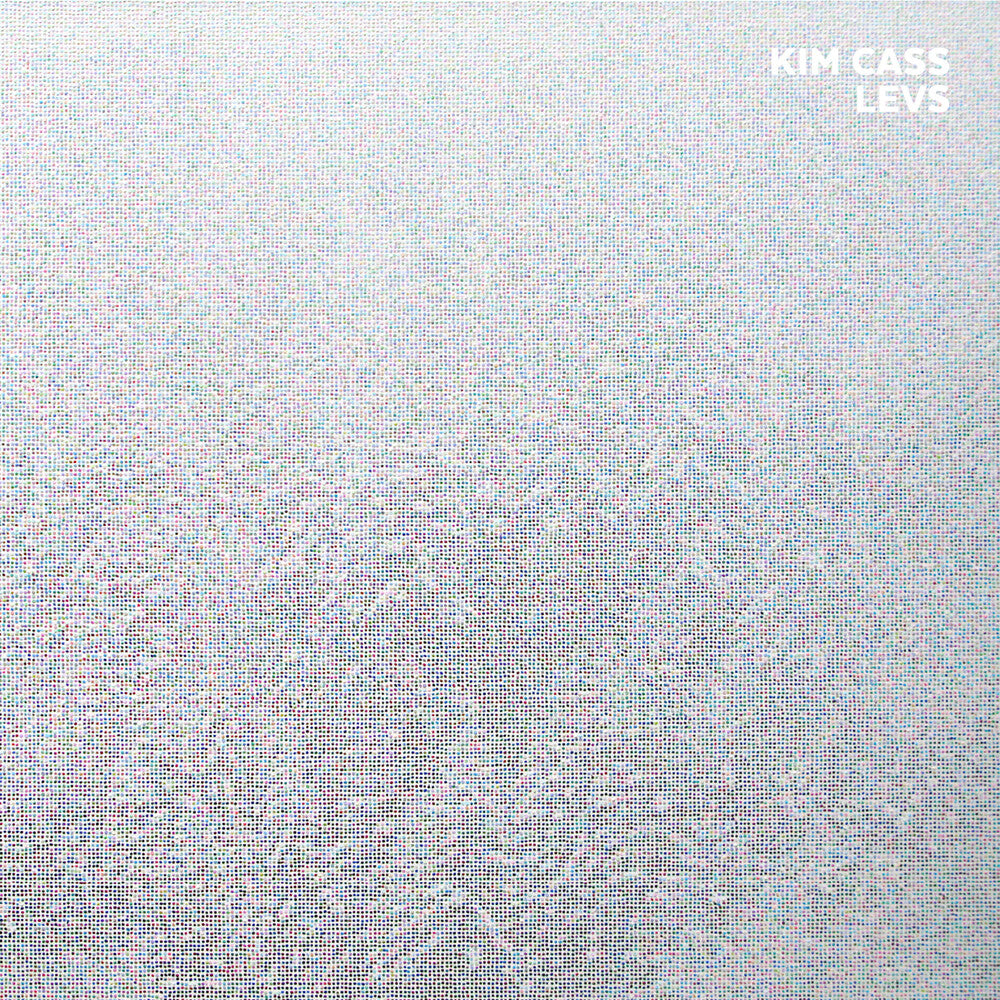 the album cover for Kim Cass - Levs