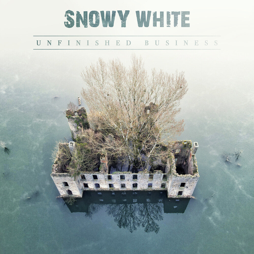 Unfinished Business Music CD