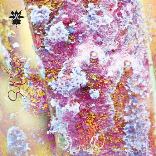 Qoa - Sauco - Vinyl Record