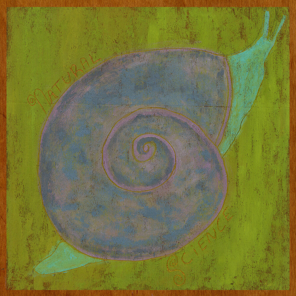 the album cover for Lindsay Reamer - Natural Science