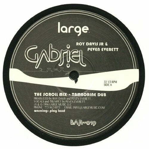 Davis Jr,roy - Gabriel - Vinyl Record
