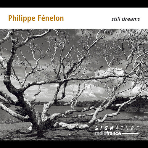 Fenelon / Jodelet / Beltrando - Still Dreams - Music CD