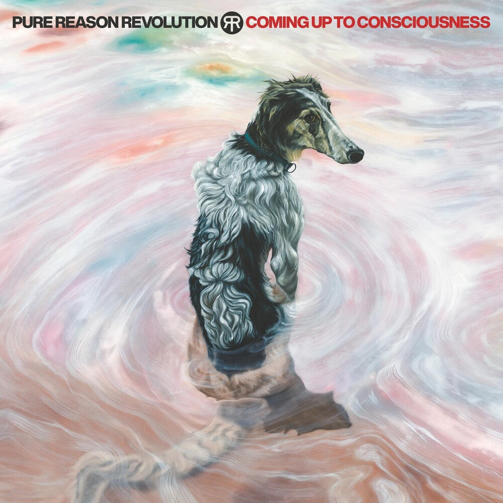 the album cover for Pure Reason Revolution - Coming Up To Consciousness