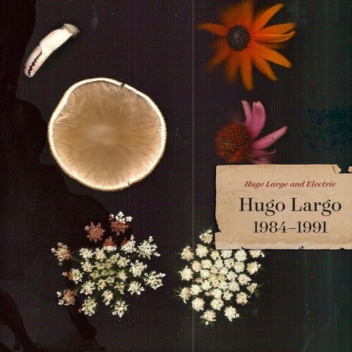 Largo,hugo - Huge Large And Electric: Hugo Largo 1984-1991 - Music CD