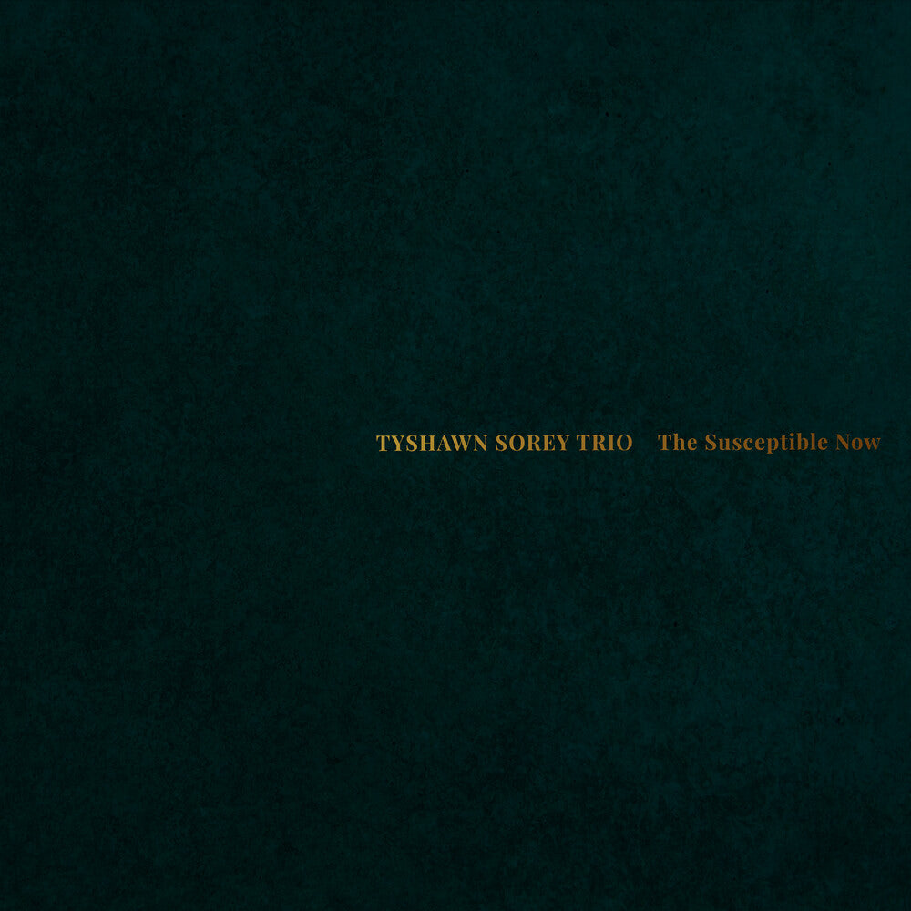 the album cover for Tyshawn Sorey Trio - Susceptible Now