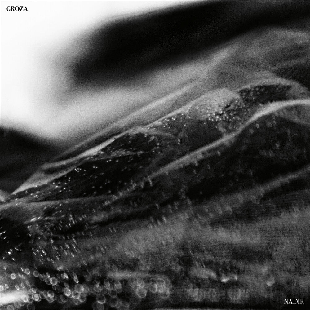 the album cover for GROZA - Nadir