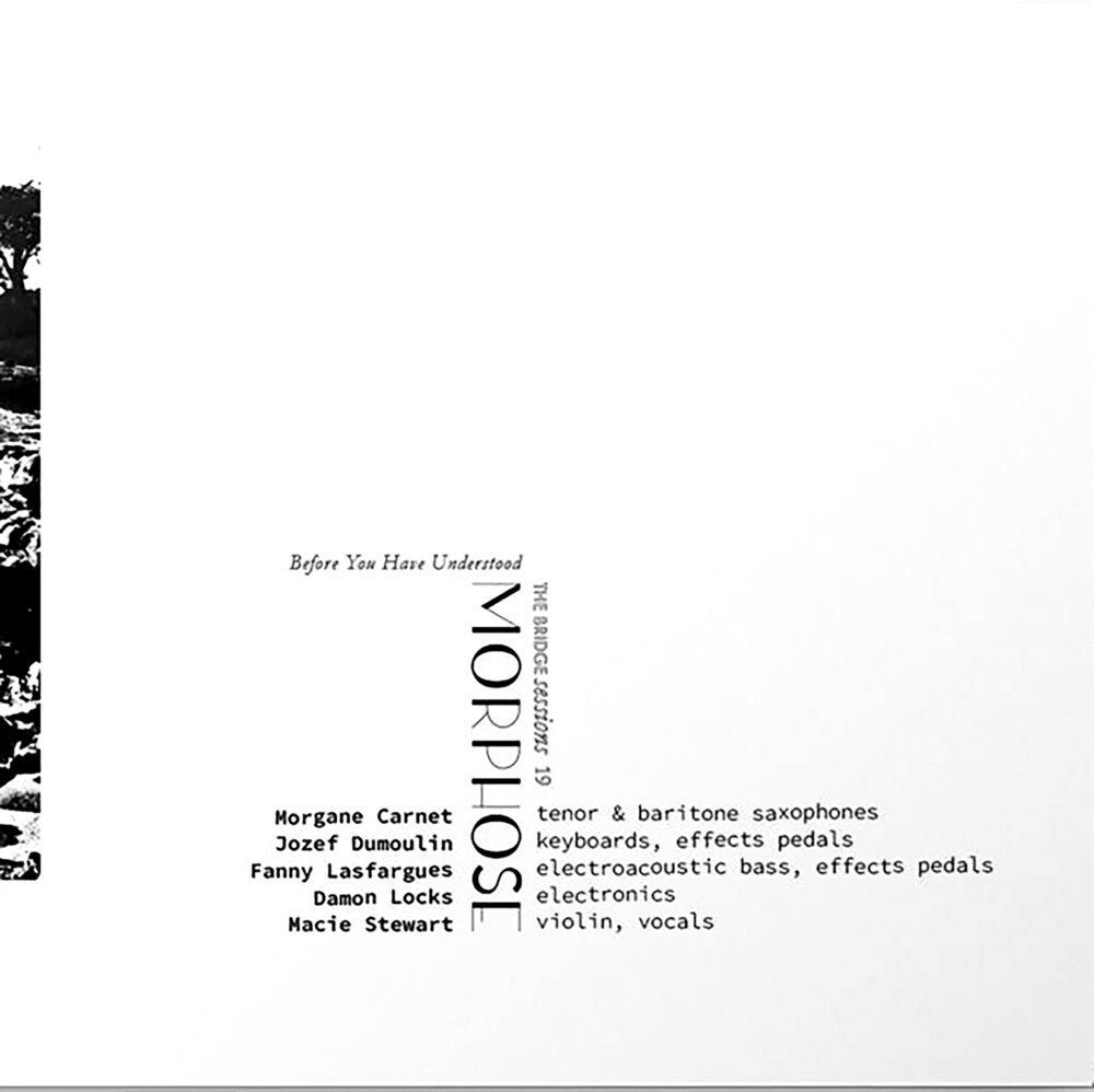 the album cover for Morgane Carnet / Dumoulin,Jozef / Lasfargues,Fanny - Morphose