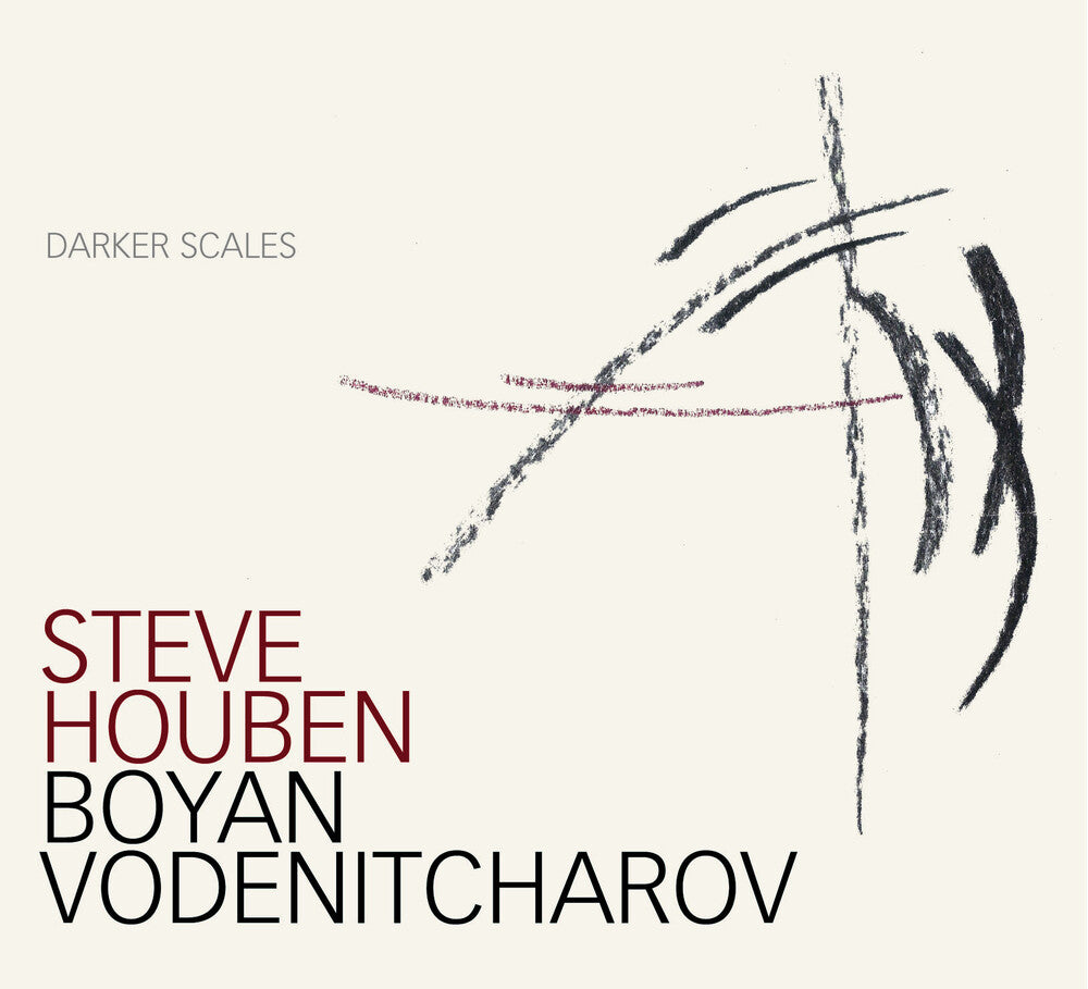 the album cover for Steve Houben & Boya - Darker Scales