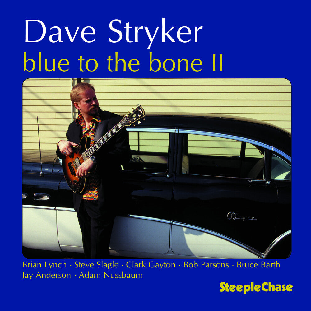 the album cover for Dave Stryker - Blue to the Bone 2