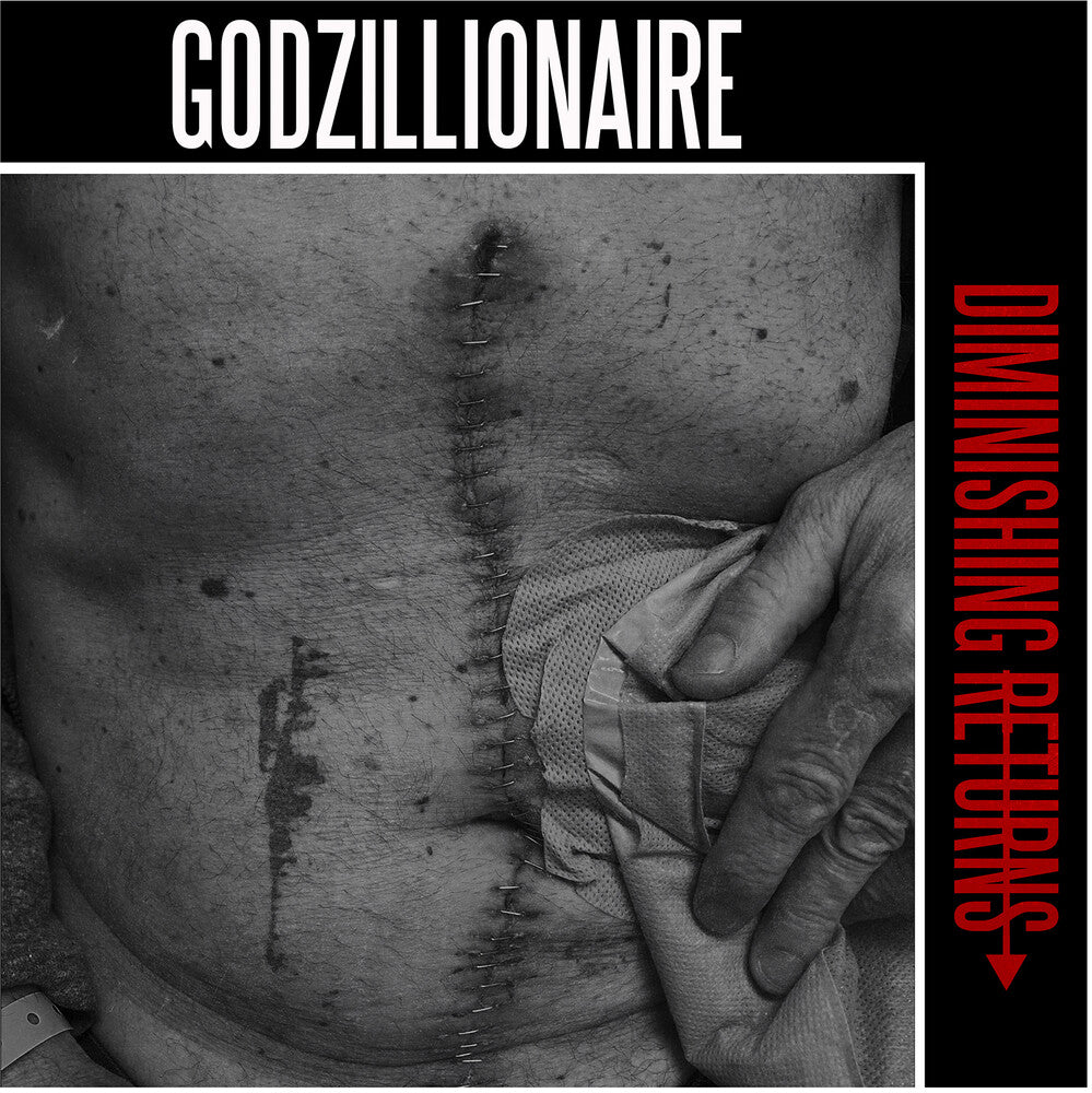 the album cover for Godzillionaire - Diminishing Returns