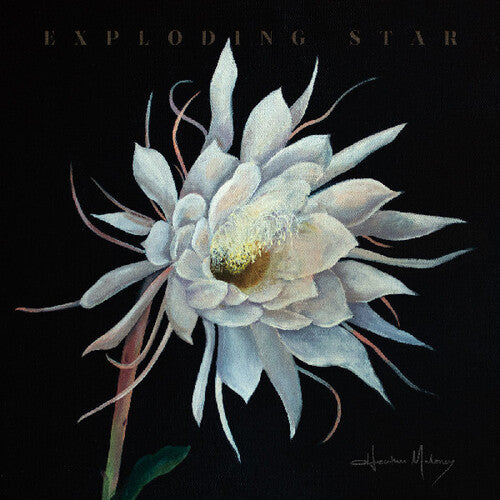 Maloney,heather - Exploding Star - Vinyl Record