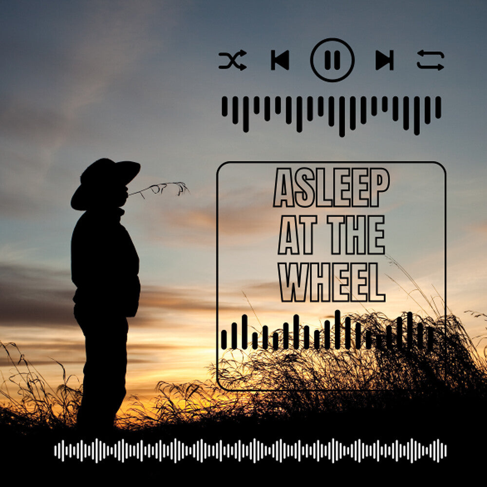 the album cover for Asleep At The Wheel - Asleep At The Wheel - Live (Mod)