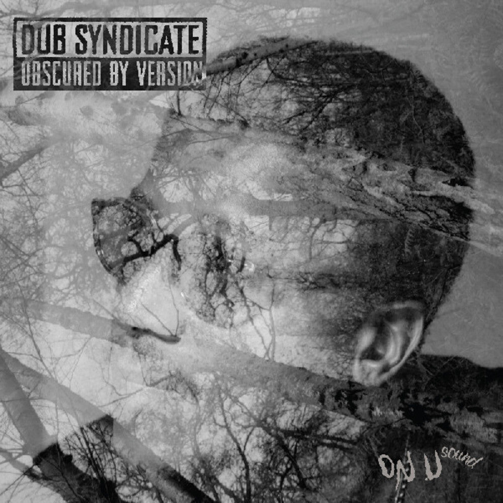 the album cover for Dub Syndicate - Obscured By Version