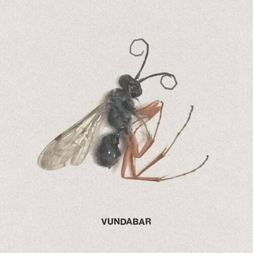 Vundabar - Good Old Vinyl Record