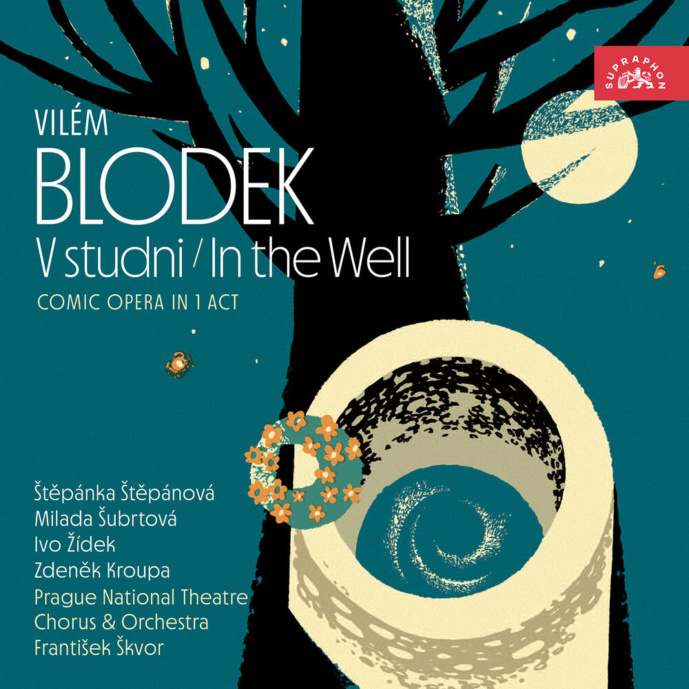 the album cover for Blodek / Stepanova / Subrtova - V Studni / In The Well