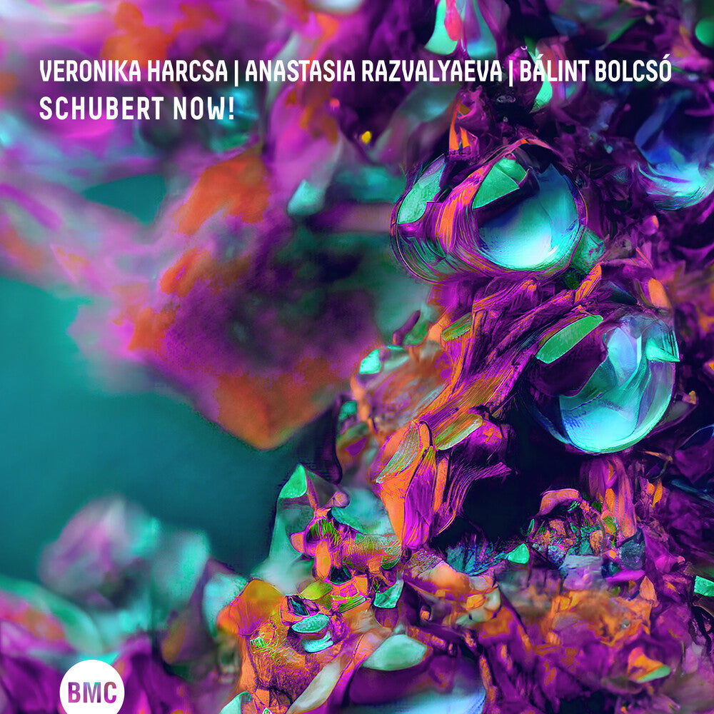 the album cover for Veronika Harcsa / Razvalyaeva,Anastasia - Schubert Now