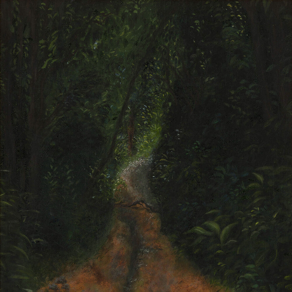 the album cover for Kaatayra - Toda Historia Pela Frente