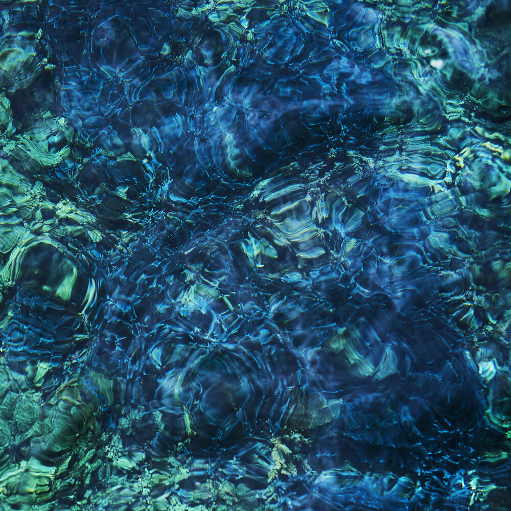 Luminescent Creatures Music CD