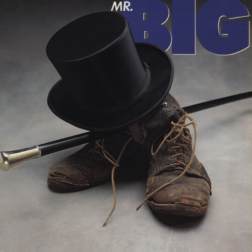 Mr Big - Mr Big Vinyl Record
