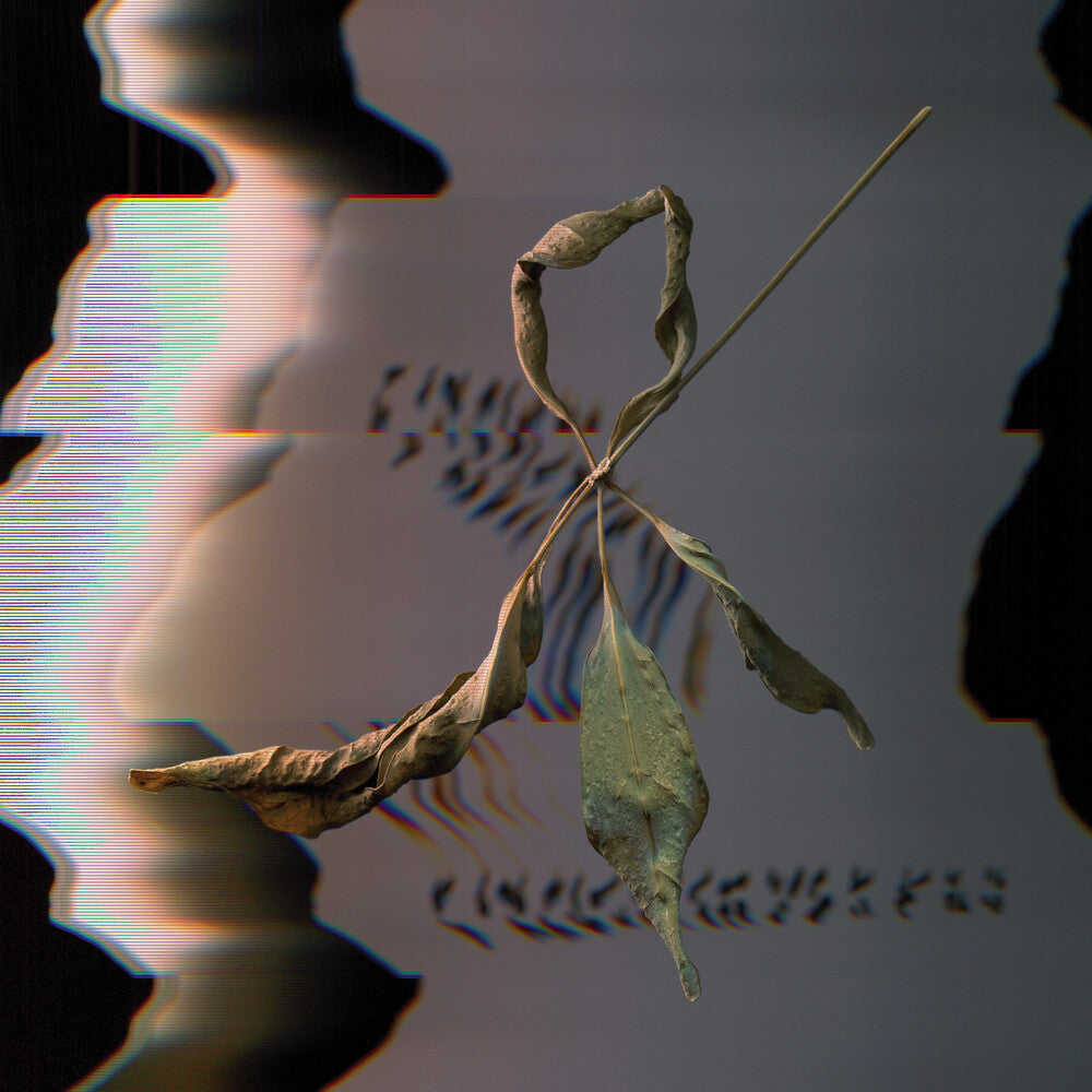 Trill Scan Music CD