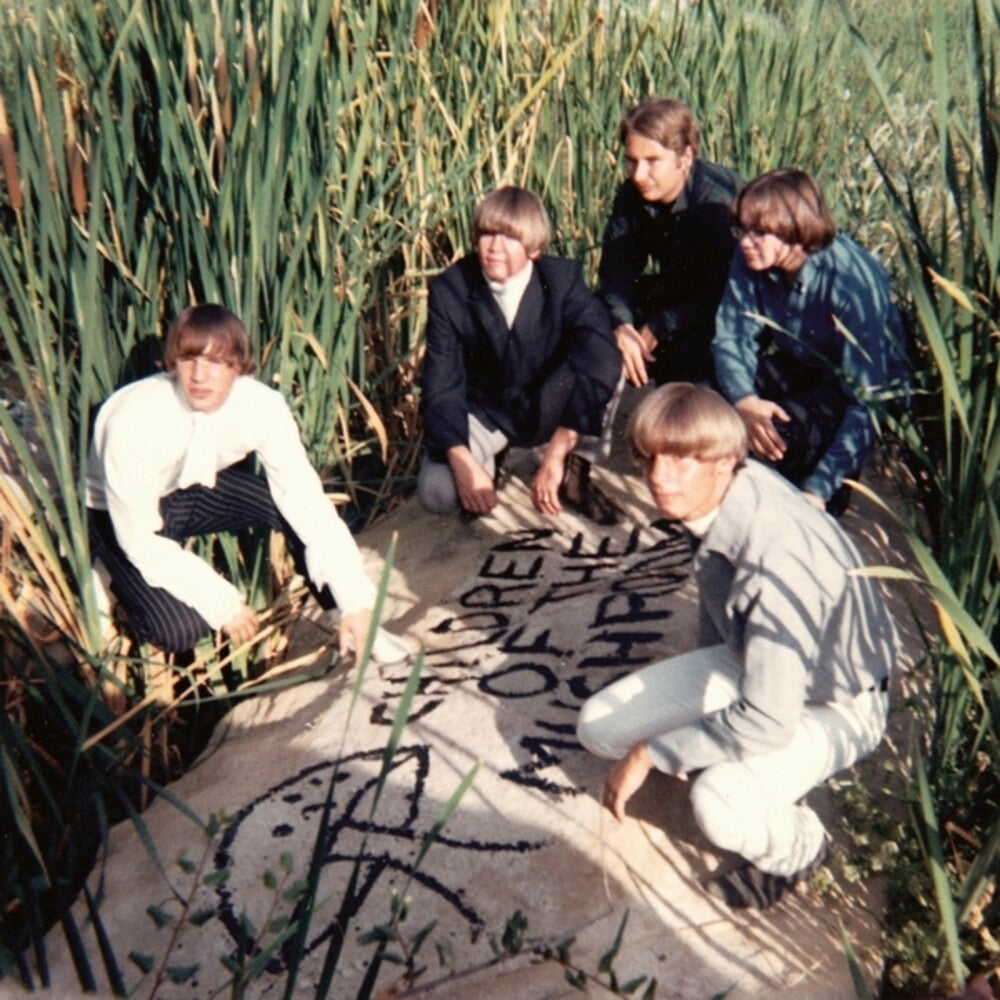 the album cover for Children Of The Mushroom - Children Of The Mushroom