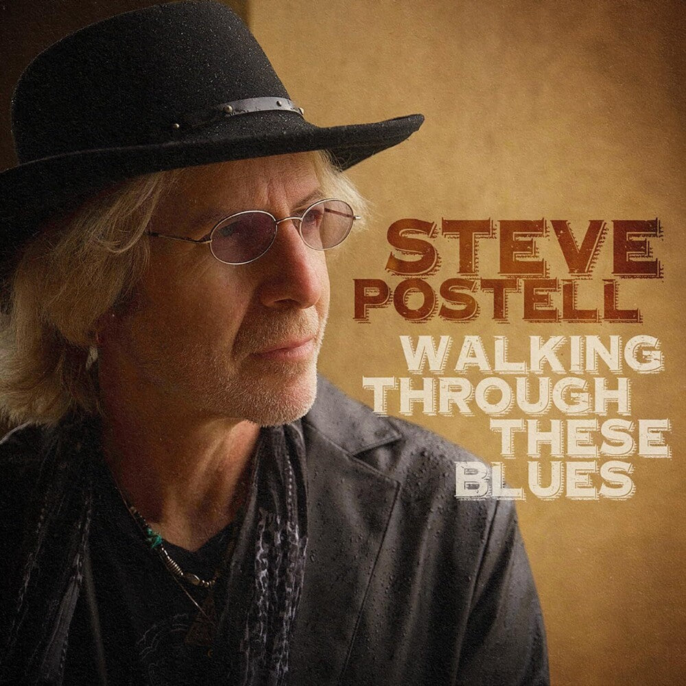 Walking Through These Blues Music CD
