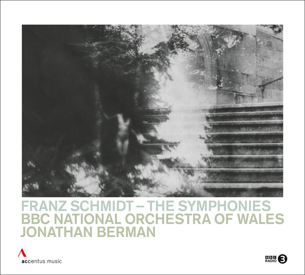 the album cover for Schmdit / Bbc National Orchestra Of Wales - Symphonies
