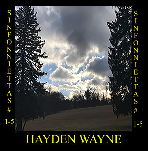 Wayne,hayden - Sinfoniettas 1-5 - Music CD