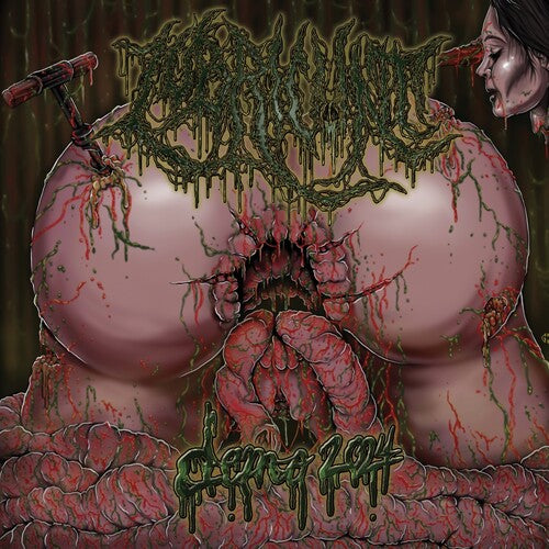 Lubricunt - Demo 2024 - Music CD