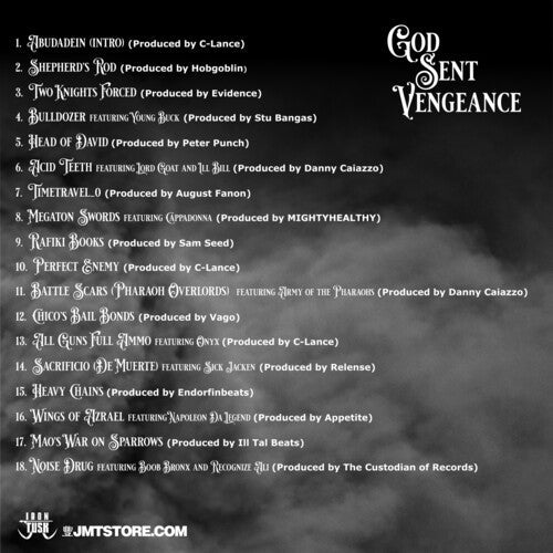 Vinnie Paz - God Sent Vengeance Vinyl Record