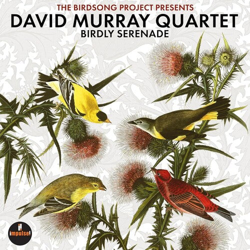 Murray,david - Birdly Serenade - Music CD