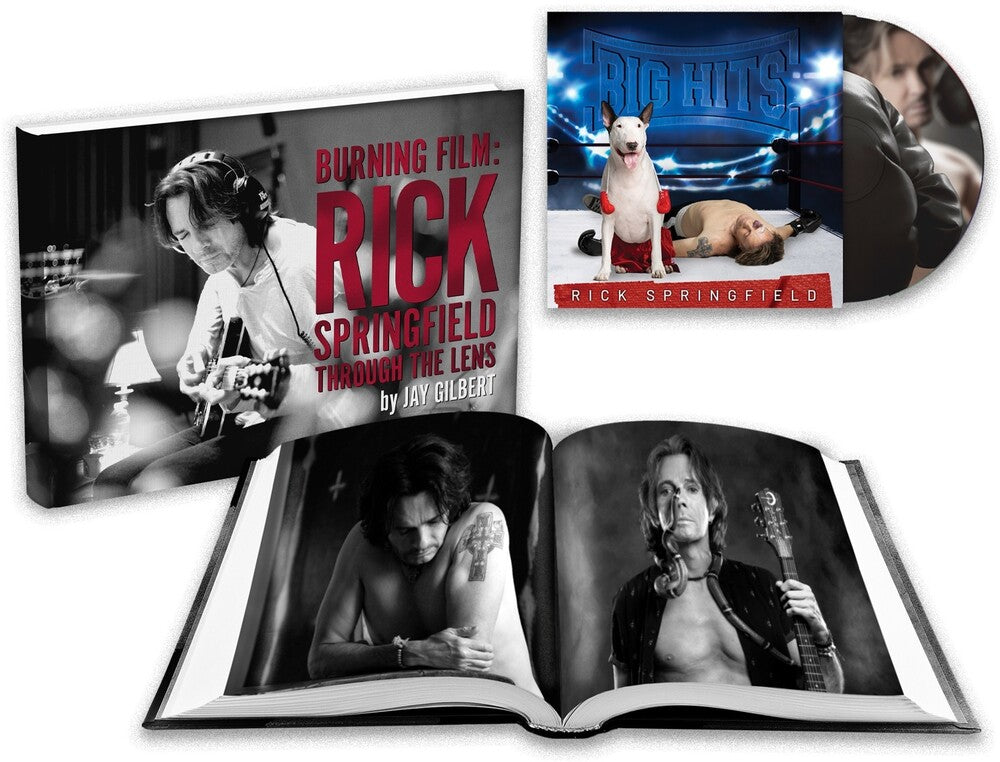 Big Hits: Rick Springfield's Greatest Hits Vol. 2 Music CD