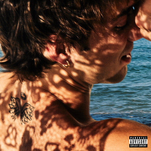 Seavey,daniel - Second Wind - Vinyl Record