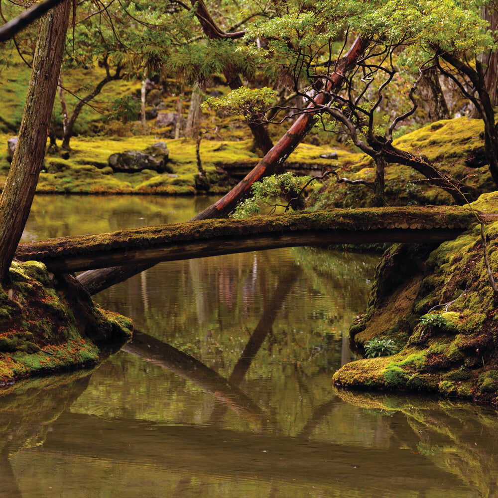 the album cover for Rebecca Foon / Foon-Dancoes,Aliayta - Reverie