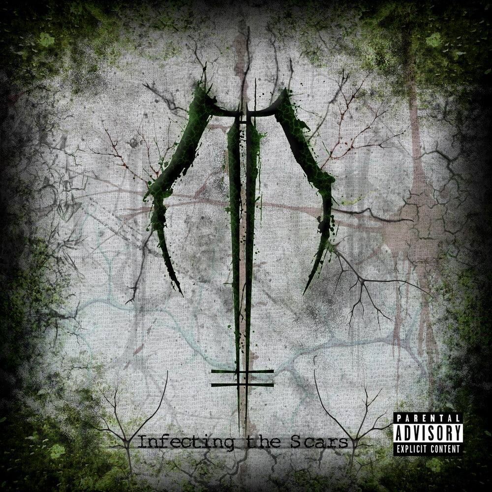 the album cover for Dawn Of Ashes - Infecting The Scars