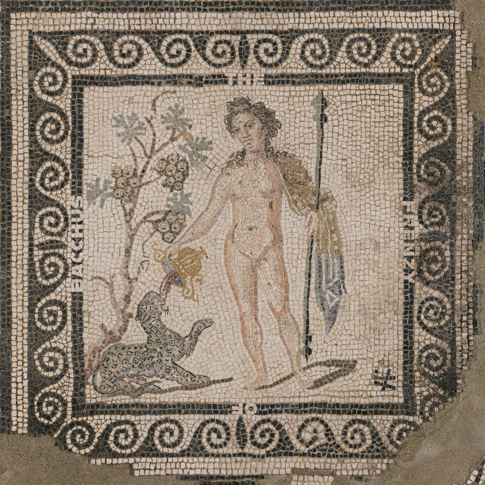 the album cover for ASM - Frenzy Of Bacchus