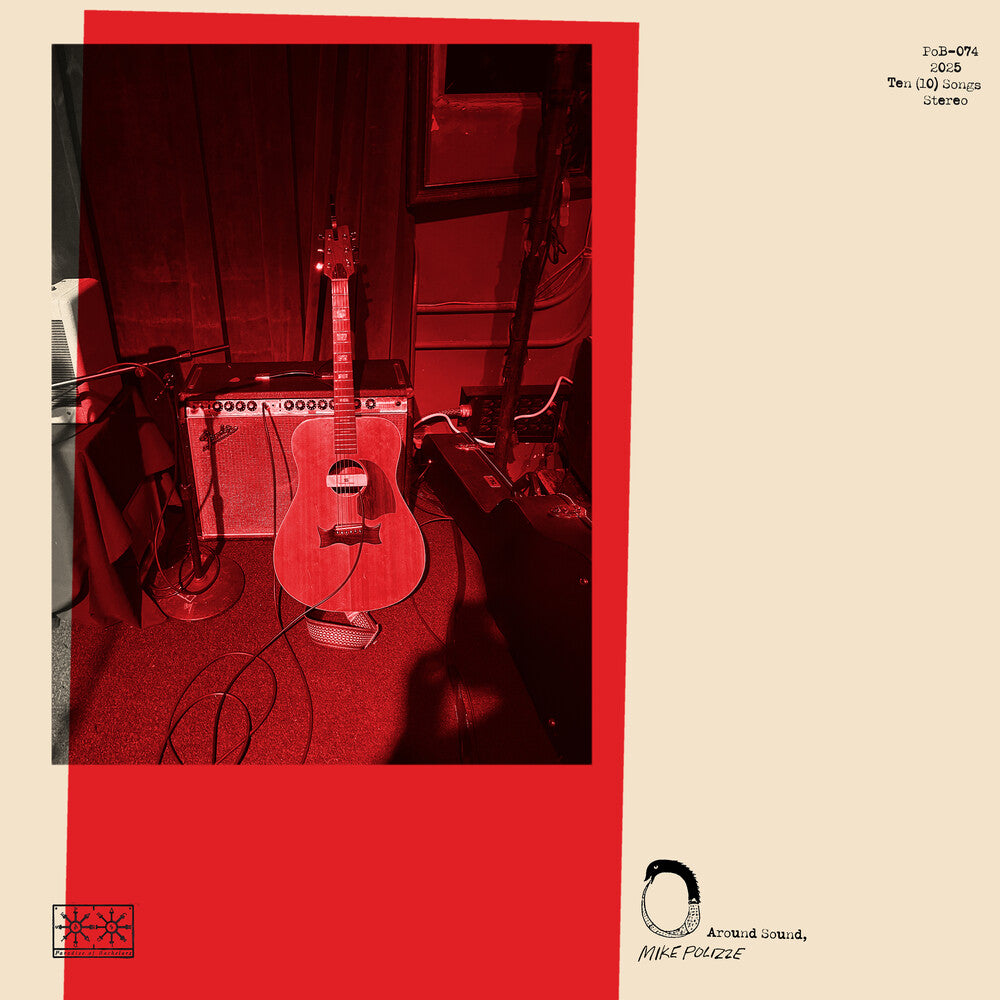 the album cover for Mike Polizze - Around Sound