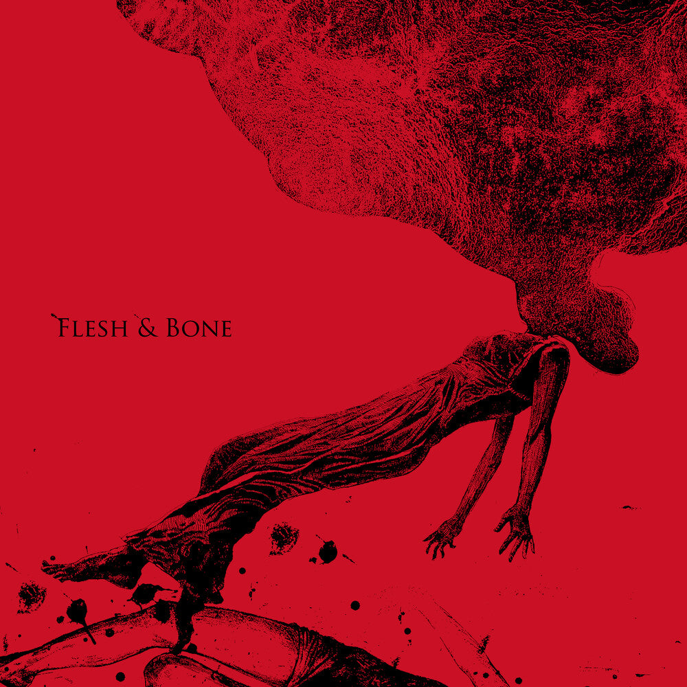 the album cover for Aneuma - Flesh & Bone