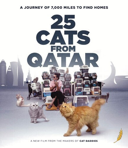25 Cats From Qatar - 25 Cats From Qatar - Blu-ray