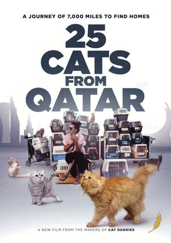 25 Cats From Qatar - 25 Cats From Qatar - DVD