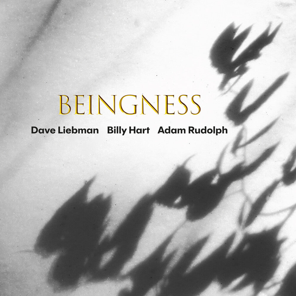 Beingness Music CD