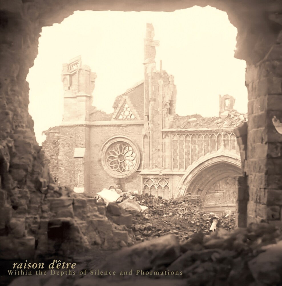 the album cover for Raison Detre - Within The Depths Of Silence And Phormations