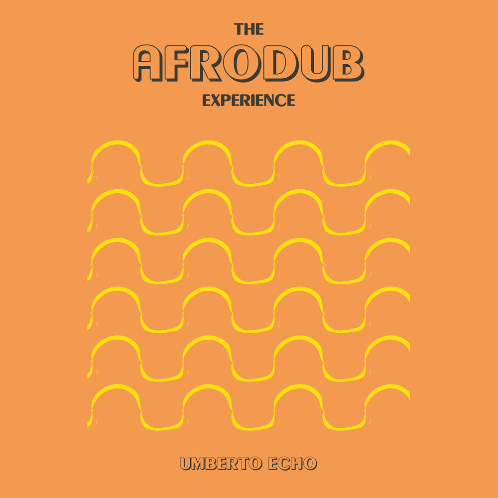 the album cover for Echo, Umberto - The Afrodub Experience