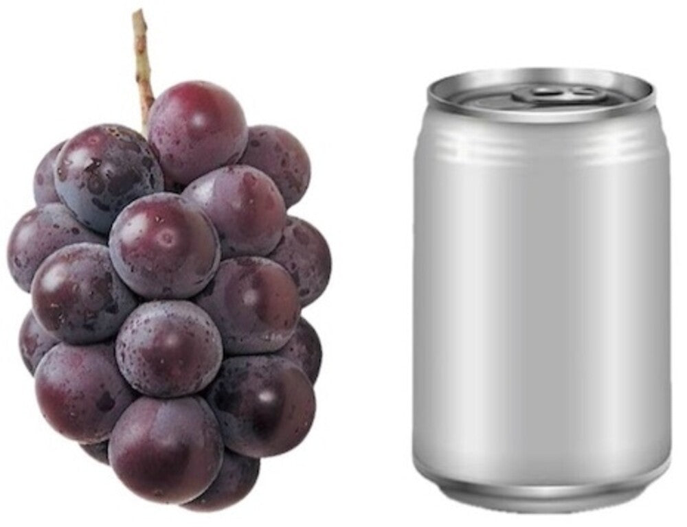 the album cover for Chiba Yuki - Budokan