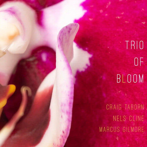 Trio Of Bloom - Trio Of Bloom - Music CD
